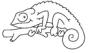 Scarica subito l'illustrazione vettoriale camaleonte libro da colorare. Disegno Camaleonti 2