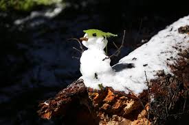 Die texte der kinderlieder sind auf deutsch und einfach zu merken, so ein schönes kindergartenlied und video um den kopf,bauch und popo zu entdecken,außerdem dreht sich der schneemann auch. Der Schneemann Und Die Sonne Winterzeit