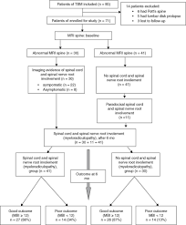 flow chart of the study mbi modified barthel index tbm