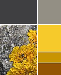 Aesthetic Black And White Color Palette This Colour Scheme Is Great The Beauty Of Nature The Grey Tones Work Excellently With The Yello Color Palette Yellow Yellow Colour Scheme Brown Color Palette