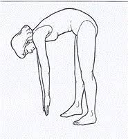 La elasticidad es la capacidad de un cuerpo para recuperar su forma o posición original una vez cesa la fuerza externa que lo deformó. Estudio Comparativo De Factores Edad Sexo Calentamiento Muscular Que Influyen La Valoracion De La Flexibilidad