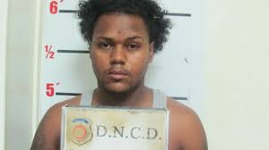 Extraditan a EE.UU. hombre asesinó a balazos su pareja