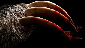 زیرنویس Slotherhouse 2023 - بلو سابتايتل 