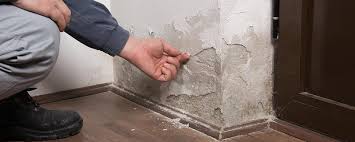 Comment lutter contre moisissure murs. Comment Combattre Des Murs Humides Guide Artisan