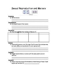Editable One Page Worksheet That Covers Meiosis Differentiating Haploid And Diploid Il Middle School Science Experiments Meiosis Interactive Science Notebook
