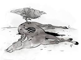 Dead Deer Sketch Deer Sketch Deer Drawing Deer Art