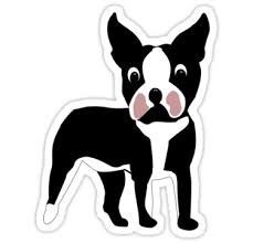 Black And White Boston Terrier Cartoon Boston Terrier Cartoon Dog Sticker By Dogplay Cartoon Dog Cartoon Boston Terrier