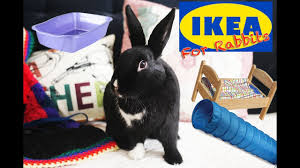 Maybe you would like to learn more about one of these? Things You Can Buy At Ikea For Rabbits Youtube