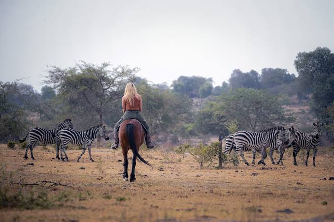 4 Days Gorilla Trek via Lake Mburo