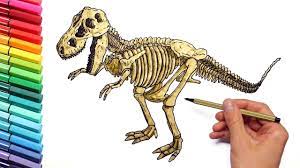 The free printable animal coloring pages can be used to create your own animal coloring book. Dinosaur Skeleton Color Pages For Childrens Drawing And Coloring T Rex Dinosaur Youtube