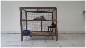 Cara membuat kandang kucing sendiri. Kandang Kucing Tingkat Dari Kayu Youtube