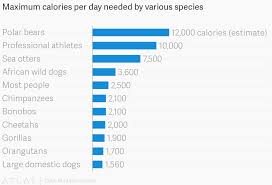 Maximum Calories Per Day Needed By Various Species