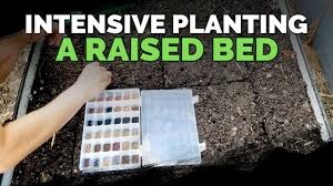 Check spelling or type a new query. How To Maximize Space In A Raised Bed High Density Planting Youtube