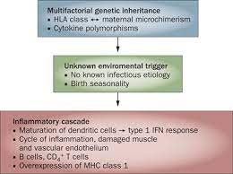 Ivig is usually used in patients. Clinical Features Pathogenesis And Treatment Of Juvenile And Adult Dermatomyositis Nature Reviews Rheumatology