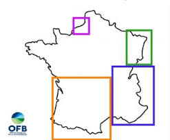 En 1971, le personnel du corps des lieutenants de louveterie est converti en conseillers cynégétiques. Situation Loup Sur Le Territoire Francais Ofb Le Loup En France