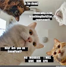 Maybe you would like to learn more about one of these? Meme Is He Dead Then Why Is He Breathing Darkstar Of Course Not Hey Are You Ok Snowpaw No Worries I Will Give Him Cpr All Templates Meme Arsenal Com