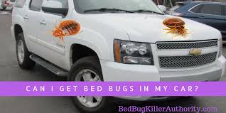 Getting rid of bed bugs completely can take weeks to months, depending on the nature and extent of the infestation. Can I Bed Bugs Live In A Car Bed Bug Authority