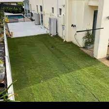 Eco landscaping