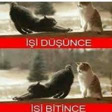 Aynen Isi Bitenin Gotu Kalkiyor Gerci Artik O Kadar Arsizlar Varki Isi Bitmesede Gotu Kalkiyor Got Alismis Kalkmaya Komik Komik Seyler Komik Goruntuler
