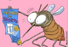All pest control services provides professional pest control services throughout the greater toronto area. Why Do Mosquitoes Love You They Think You Re Hot Corky S Pest Control Services Termite Services In San Diego Los Angeles Pest Control Riverside Pest Control