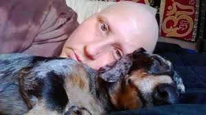 As devastating it was for us to get the diagnosis for Jack, the Purdue  University oncology care has been outstanding! Every day we have is bonus  time and I hope there is