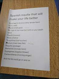 List Of Some Spanish Insults You May Find Funny Spanish