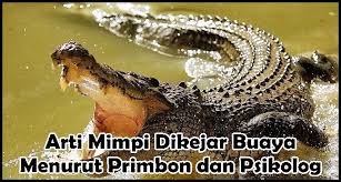 Apakah bermimpi buaya masuk rumah merupakan pertanda positif bagi kehidupanmu? Mimpi Melihat Buaya Yang Jinak Arti Mimpi Buaya Masuk Rumah Adalah Kamu Akan Mengalami Masalah Di Dalam