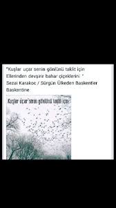 Kuslar Ucar Senin Gonlunu Taklit Icin Sezai Karakoc Celestial Body Outdoor