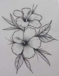 42 Simple And Easy Flower Drawings For Beginners Cartoon District 544443042455068489 Pencil Drawings Of Flowers Easy Flower Drawings Hibiscus Drawing