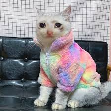 Cat wallpapers, backgrounds, images 1920x1080— best cat desktop wallpaper sort wallpapers by: Cool Sad Cat Sadcats