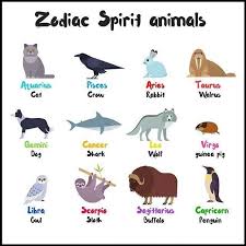 My Favorite Animal Is My Spirit Animal Awesome Zodiac Signs Animals Zodiac Zodiac Signs
