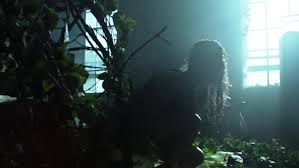 Ivy can also quickly provide a rich evergreen groundcover. Ivy Pepper Gotham Wiki Fandom