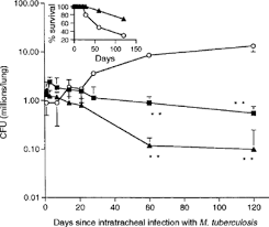 Profilo di jorge nelson orozco (21) blooming santa cruz u20 scheda, valore di mercato, statistiche, mercato, carriera e tanto altro The Effects Of Androstenediol And Dehydroepiandrosterone On The Course And Cytokine Profile Of Tuberculosis In Balb C Mice Hernandez Pando 1998 Immunology Wiley Online Library