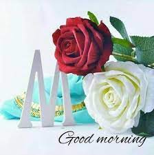 Pin By Thyagaraj B On Good Morning Good Morning Flowers Good Morning Beautiful Images Good Morning Quotes