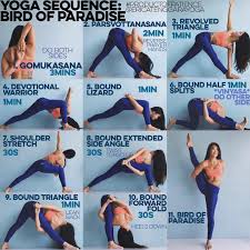 Yoga Sequence Bird Of Paradise Warm Up Sun Salutation A B X5 Each Youtube If Unsure 1 Gomukasana Sequences De Yoga Entrainement De Yoga Exercices De Yoga