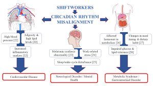 Work 3 days and be off 4 per week!*. Ijerph Free Full Text Consequences Of Circadian Disruption In Shift Workers On Chrononutrition And Their Psychosocial Well Being Html