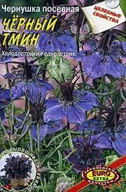 Цветковое растение nigella sativa (чернушка посевная, или черный тмин), которое растет в северной африке и западной азии, в будущем может быть полезным для борьбы с. Chernushka Posevnaya Chernyj Tmin