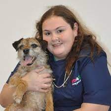 Get the best pet supplies online and in store! Vets In Bagshot Open On Sundays Vets4pets