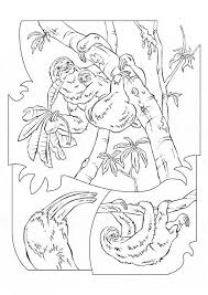 Here are some free printable sloth coloring pages. Sloth Coloring Page Animals Town Animals Color Sheet Sloth Free Printable Coloring Pages Animals