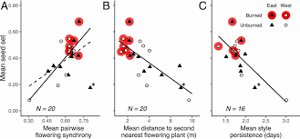 Download 5 clips every month with our latest video subscription. Fire Synchronizes Flowering And Boosts Reproduction In A Widespread But Declining Prairie Species Pnas