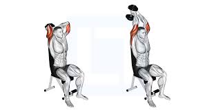 Dumbbell Triceps Extension