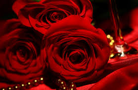 Maybe you would like to learn more about one of these? Red Roses Wallpapers Top Free Red Roses Backgrounds Wallpaperaccess