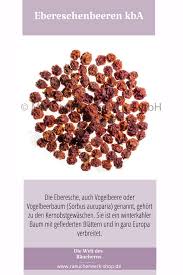 Ebereschenbeeren Kba Beeren Rauchern Anleitung Eberesche