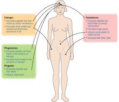 In this article, we will discuss the usage and side effects, specifically weight gain. Does The Birth Control Pill Cause Weight Gain Health To Empower