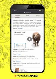 Lockdown 2 0 How To Watch Google 3d Animals Animals At Home Technology News The Indian Express
