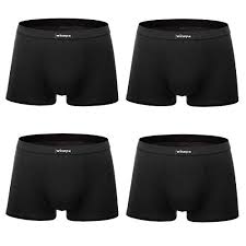 Wirarpa Mens Breathable Modal Microfiber Trunk Underwear Covered
