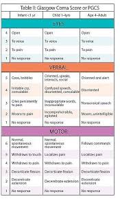 A coma score of 13 or higher correlates with a mild brain injury, 9 to 12 is a moderate injury and 8 or less a severe brain injury. Pin On Nursing