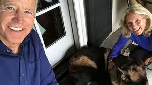President joe biden's two dogs have reportedly been sent back to his home in delaware after what has been described as aggressive behavior toward a member of white house security. Biden S Dogs Bring Return Of Presidential Pets To The White House Abc News