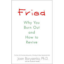 Fried: Why You Burn Out And How To Revive