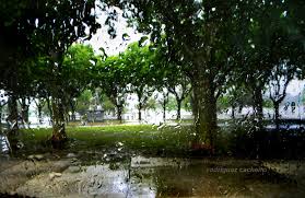 Resultado de imagen para lluvia de verano